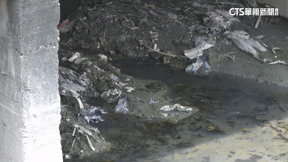 高雄大排死魚飄惡臭！　住戶憂房價跌　水利局：已整治