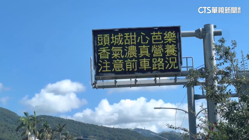 車道標語「頭城芭樂香濃」　宜蘭農會：生意至少好4成