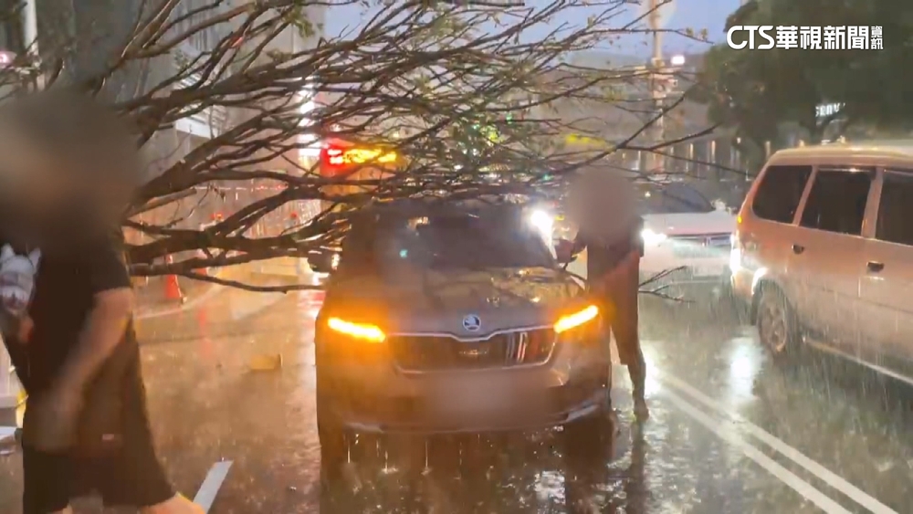 台中豪雨樹倒砸中休旅車　男大生閃避不及慘摔送醫