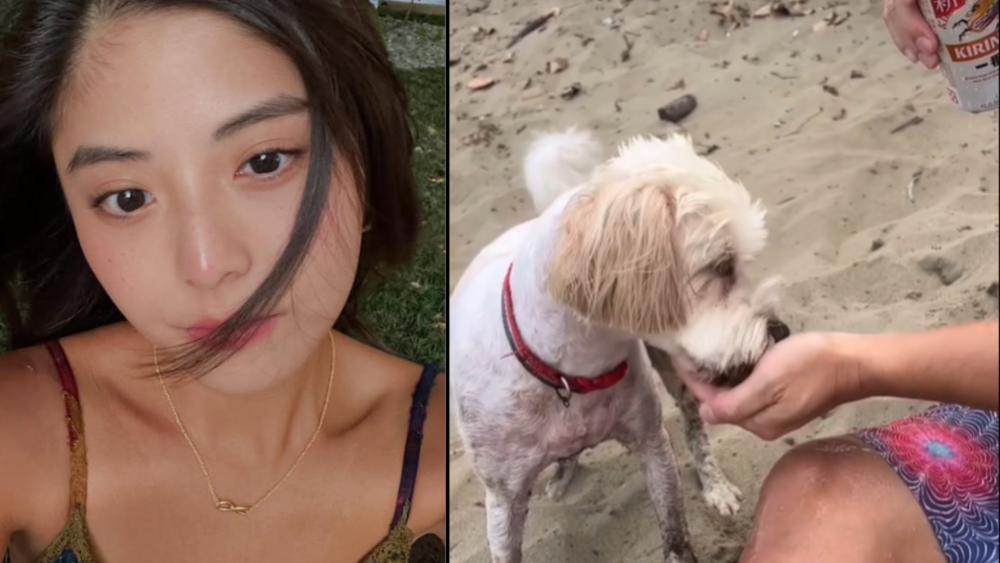 若盈拍餵狗喝酒影片 還稱「喝醉後一直狂吠」　網氣炸：狗狗沒辦法代謝酒精 ！