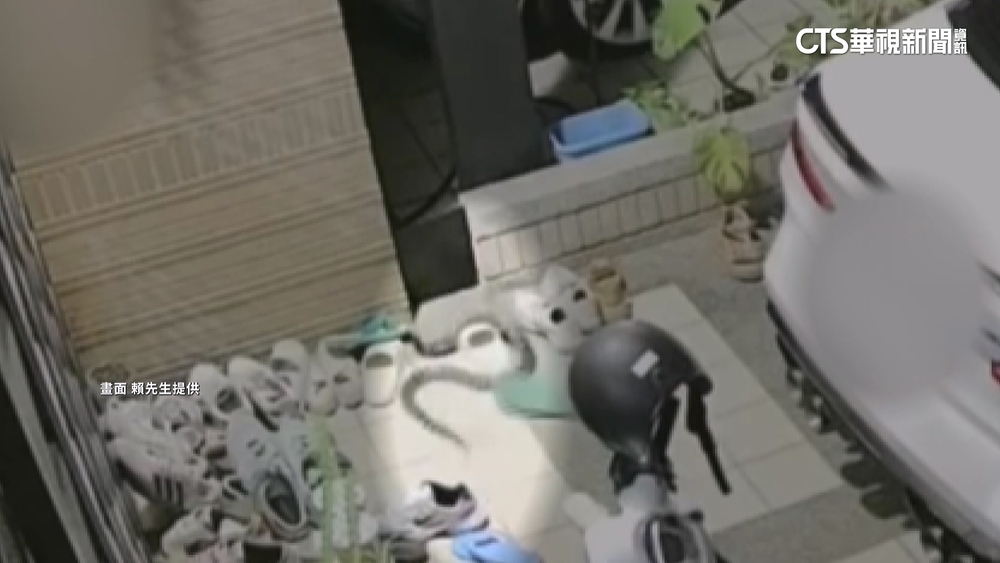 住家外穿鞋驚見「雨傘節」　男大驚失色拔腿狂奔