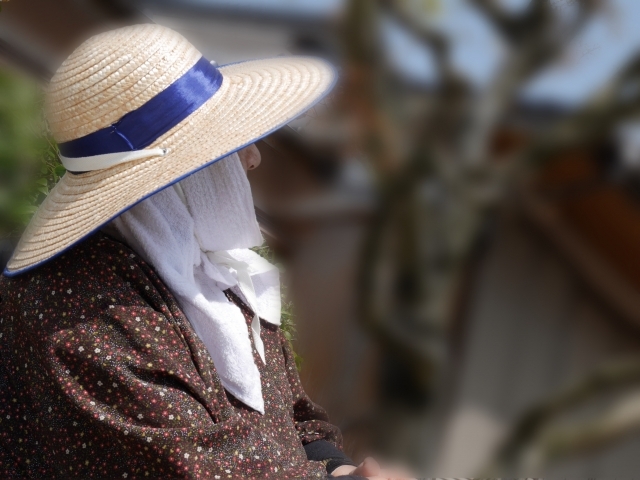 少年當詐騙幫助犯毀了「母親畢生積蓄」！　律師嘆：這位媽媽做錯了什麼？