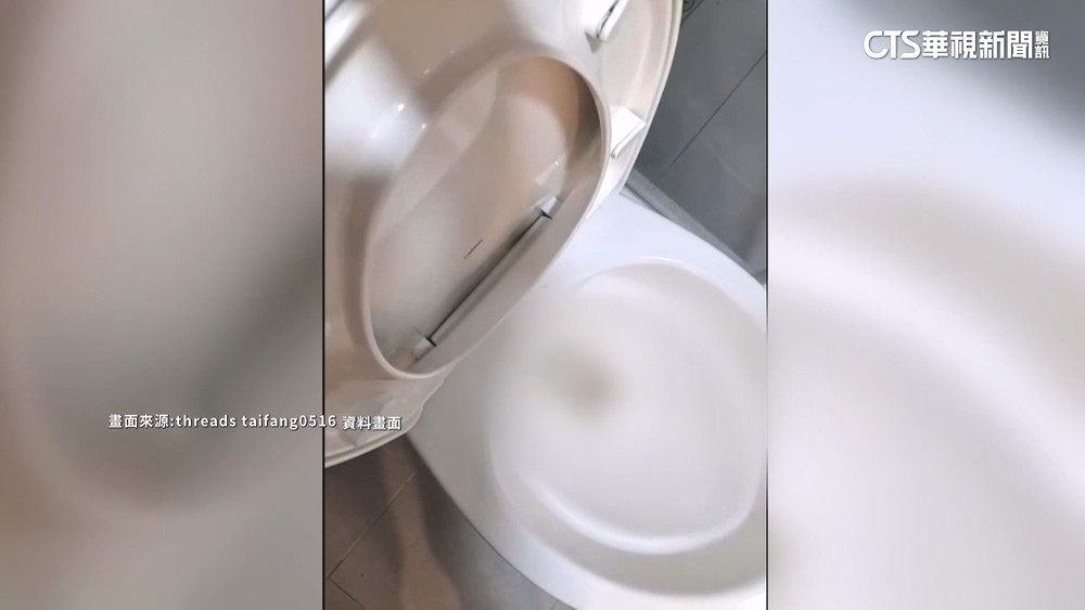 10隻活倉鼠沖馬桶致死！泰籍女子遭檢起訴求重刑