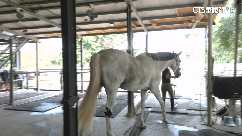 讓馬療癒！馬術治療守護慢飛天使