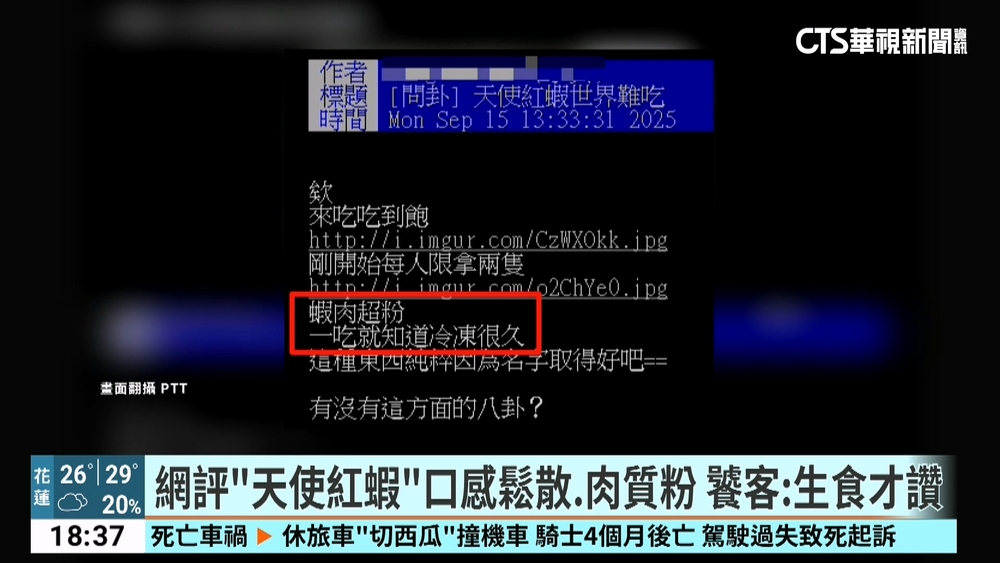 網評「天使紅蝦」口感鬆散.肉質粉　饕客：生食才讚