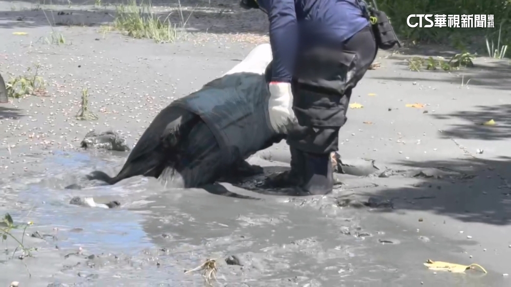 災區直擊！民眾回家困陷泥堆　特搜隊踩泥濘救人