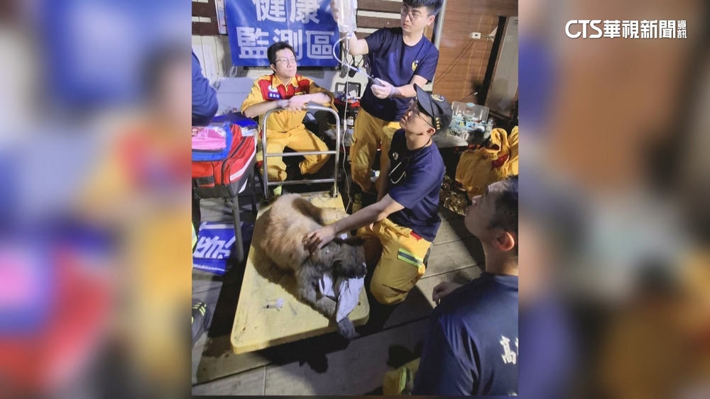 高雄搜救隊前進花蓮救災！　徒手挖出深陷泥濘犬隻