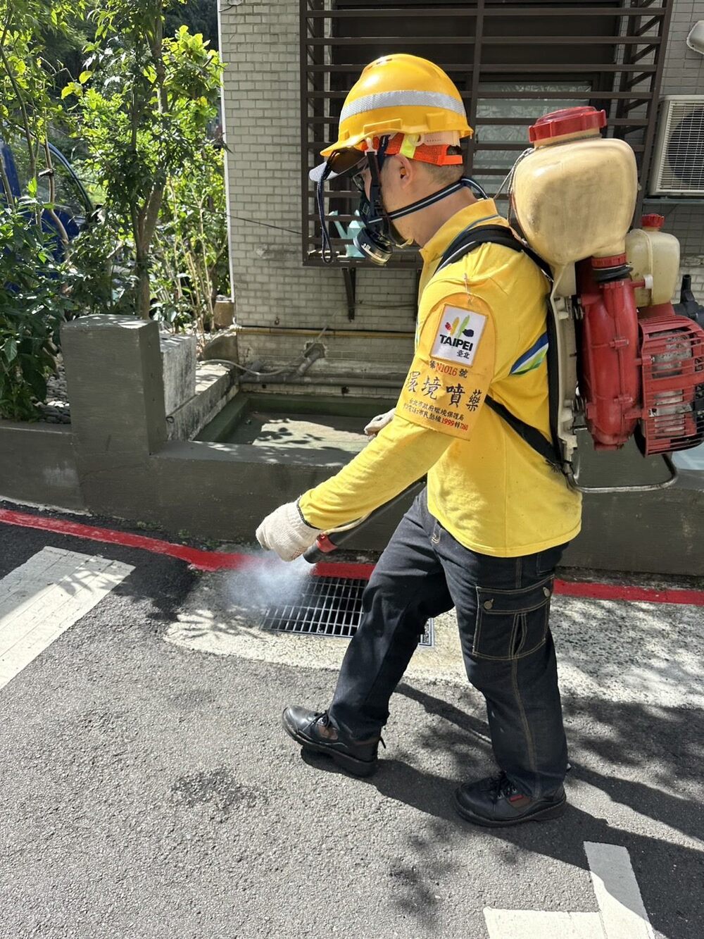 北市首例登革熱本土病例！士林8旬翁沒出國　感染源待釐清