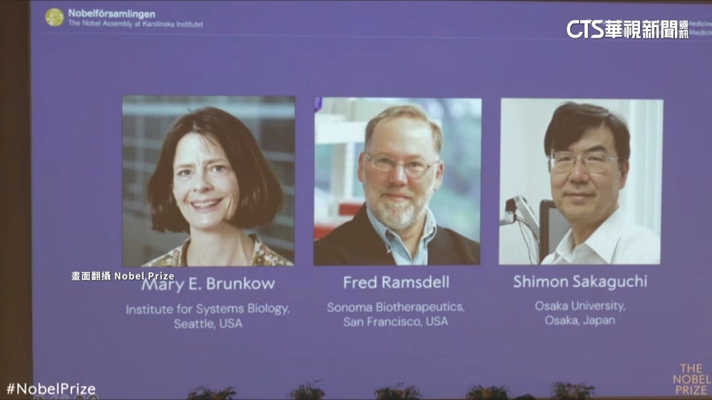 美日3學者解密免疫系統被控制　獲頒諾貝爾生醫獎