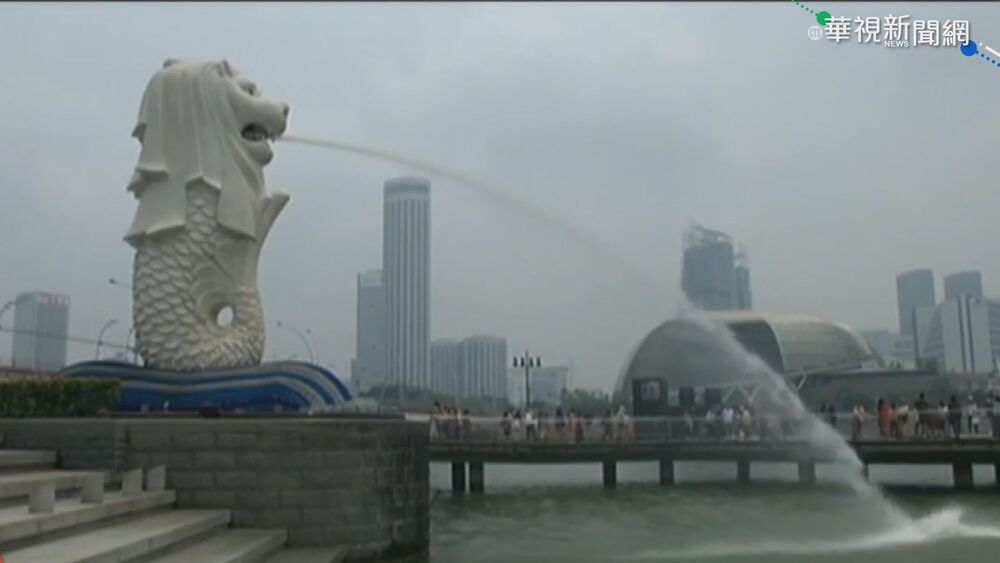 藍委喊跟進星國詐騙鞭刑　謝知橋曝「新加坡只鞭男的」 網：突然支持了