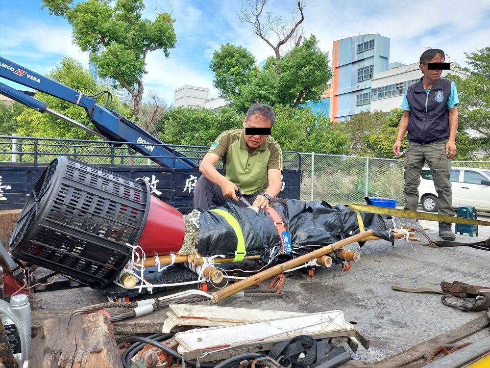 不滿農業部禁養令　飼主將鱷魚丟立院門口！動保處緊急應變