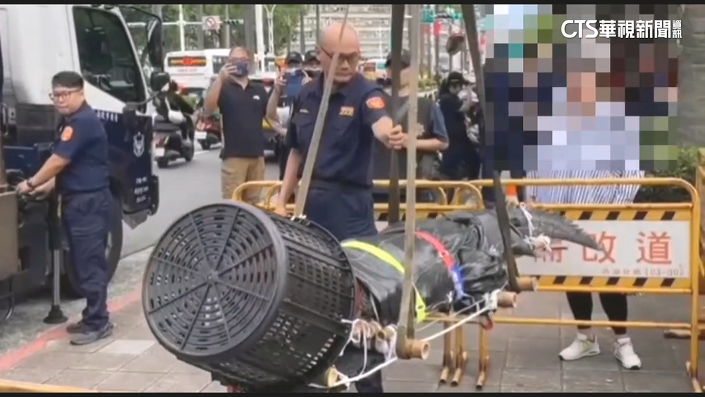 不滿農業部新規　男帶「近3米巨鱷」立院外陳情