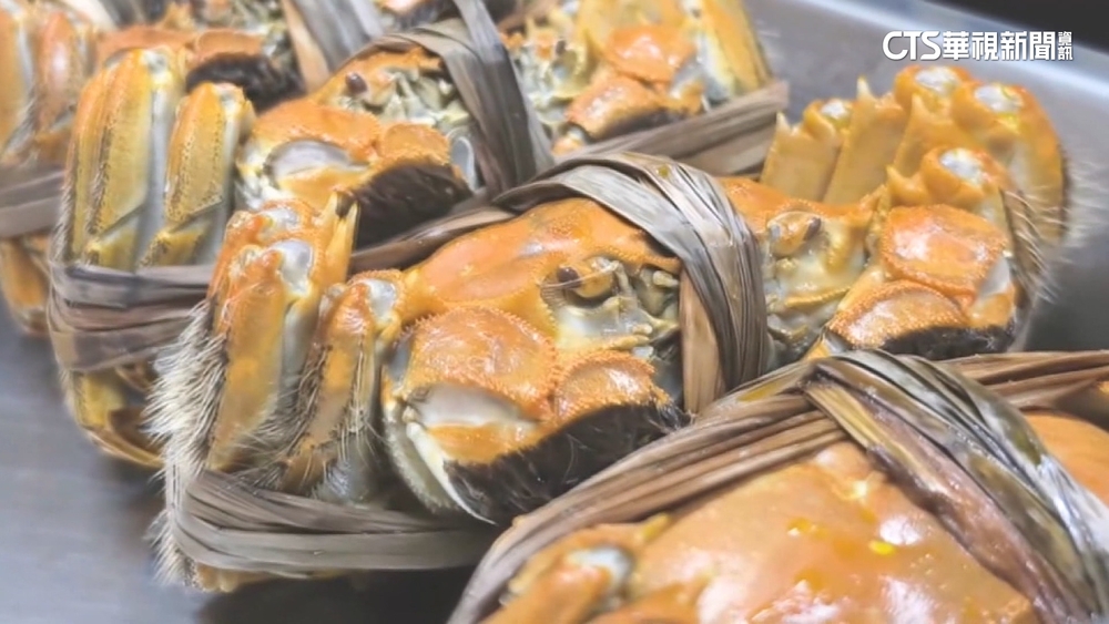 秋風起蟹腳癢！　苗30家養殖業50萬隻大閘蟹搶市