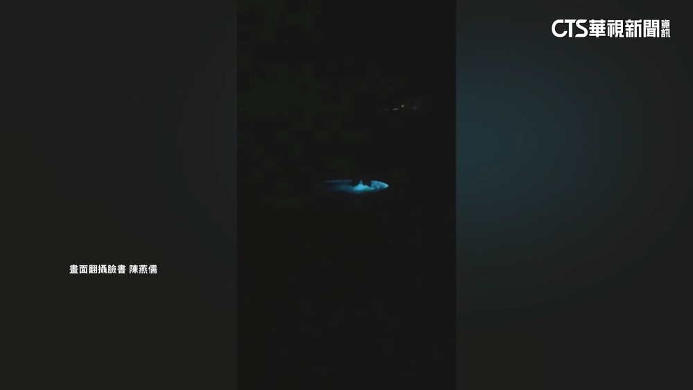 睽違兩年台南再現藍眼淚　將軍區扇形鹽田湧人潮朝聖