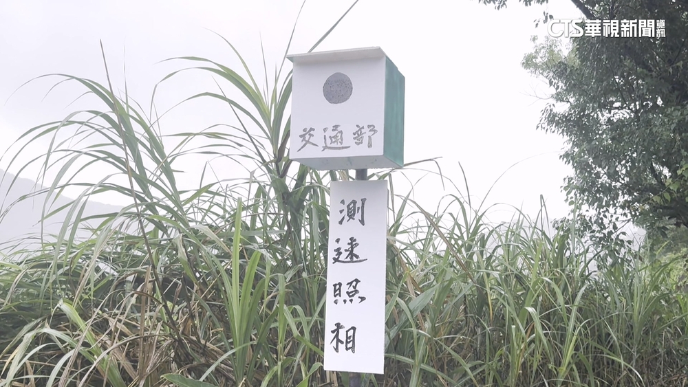 創意防路殺！　居民自製測速照相機　守護浪毛孩安全