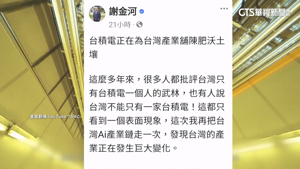 台積電「一個人武林」？　謝金河：為產業「鋪沃土」