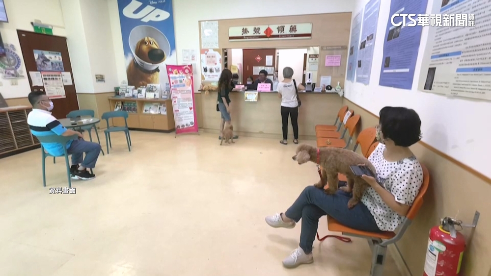 獸醫佐不能診斷.開處方　農局卻稱與護士意思一樣