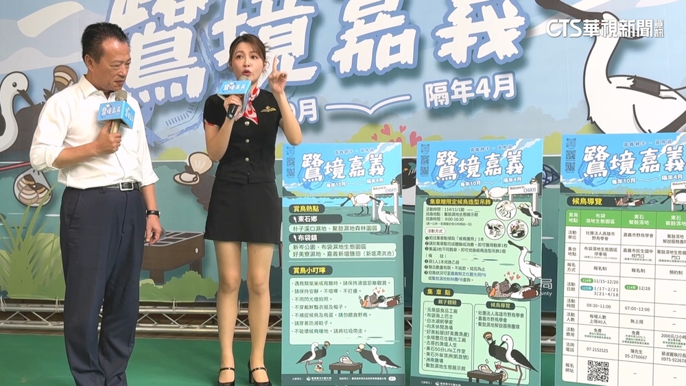 「千隻黑面琵鷺」現身嘉義！　濕地親子賞鳥行程開玩