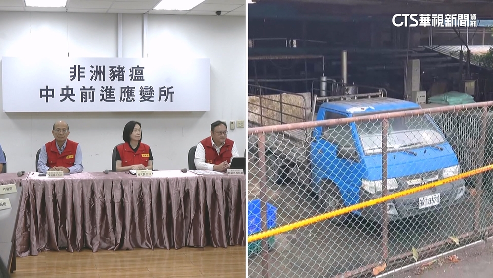 豬瘟恐早於10/10？　農業部：9/4就有豬死