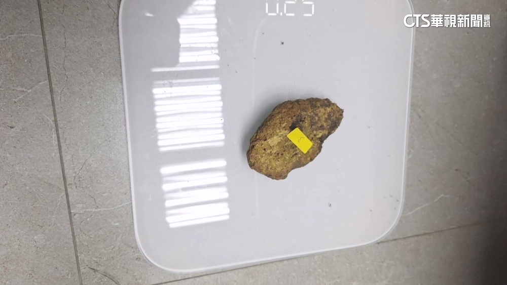 男撿回國寶級「北投石」　遭判刑6月.易科罰金18萬