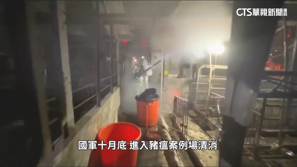 豬瘟案動保處約聘員「誤判指令」擅闖清消　農業部要求徹查