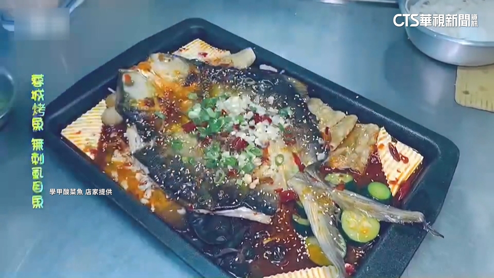 石斑魚「蒸烤炸」都行！　酸菜魚口感Q彈酸爽　饕客最愛