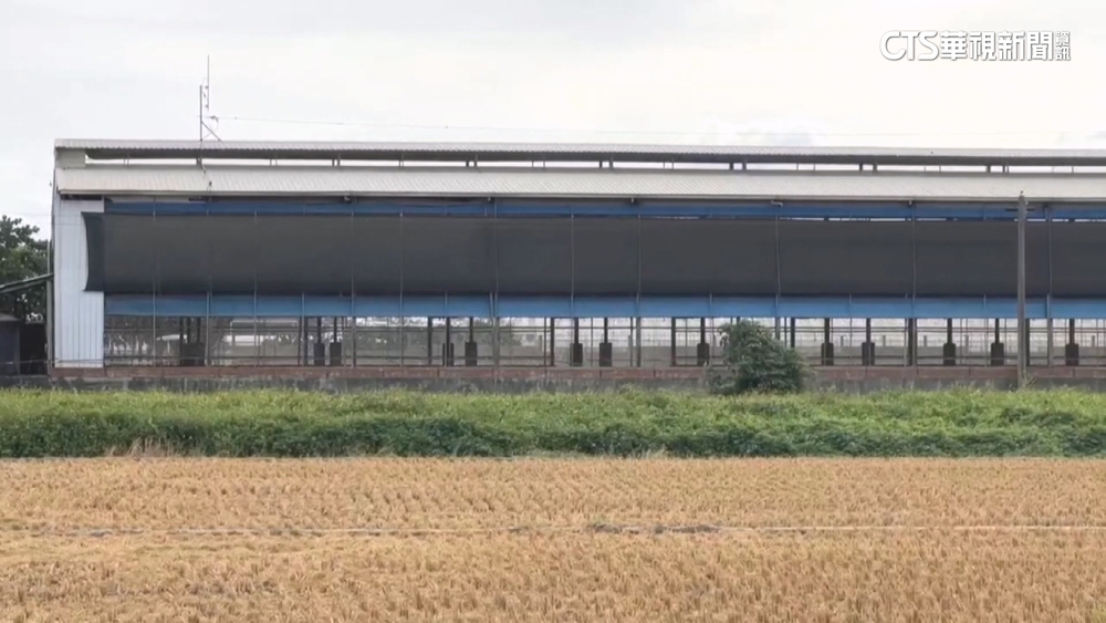 蛋場周圍全是田「芬普尼疑農藥所致」　動防所續追