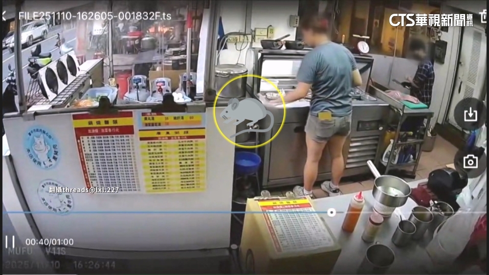 料理鼠王真實上演？台中粥店「老鼠掉鍋內」　民眾嚇