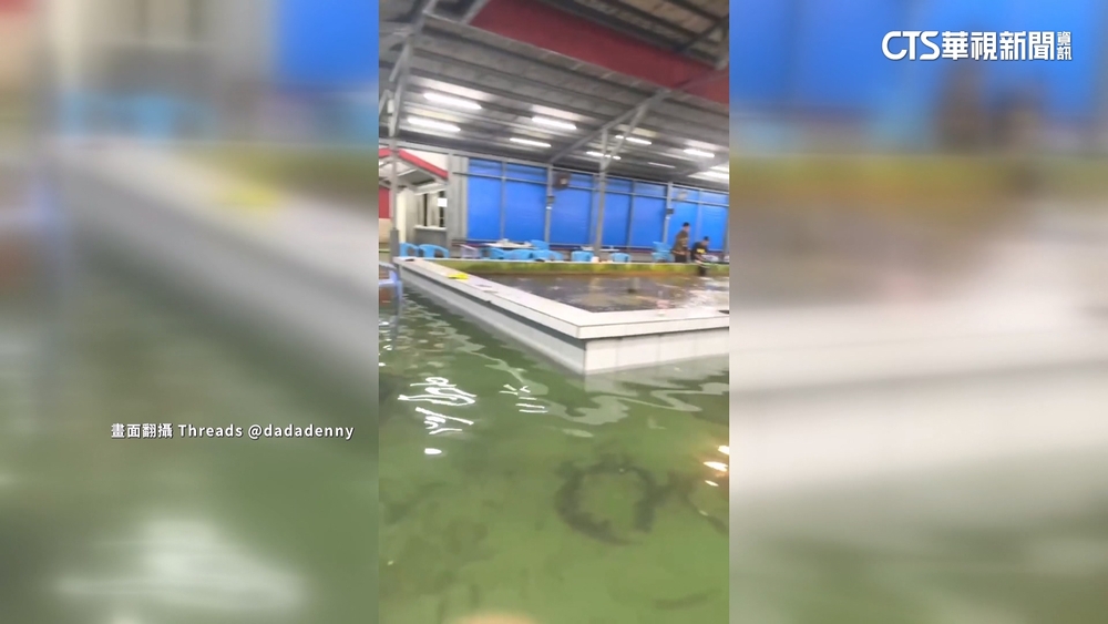 宜蘭釣蝦場水淹踝深客續釣　網友笑：沉浸式釣蝦