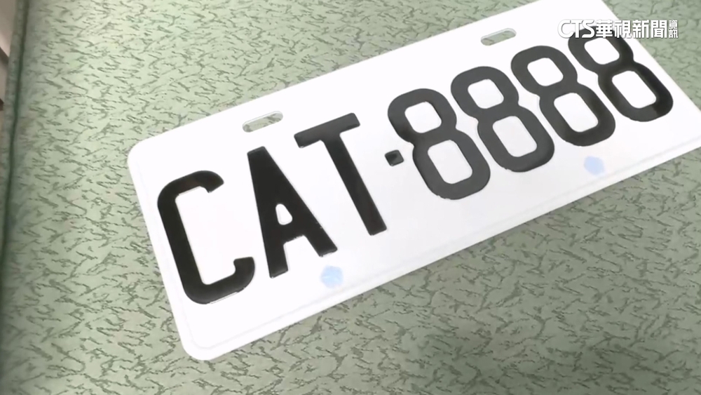 貓奴瘋搶「CAT」車牌　連號組合標出57.6萬高價