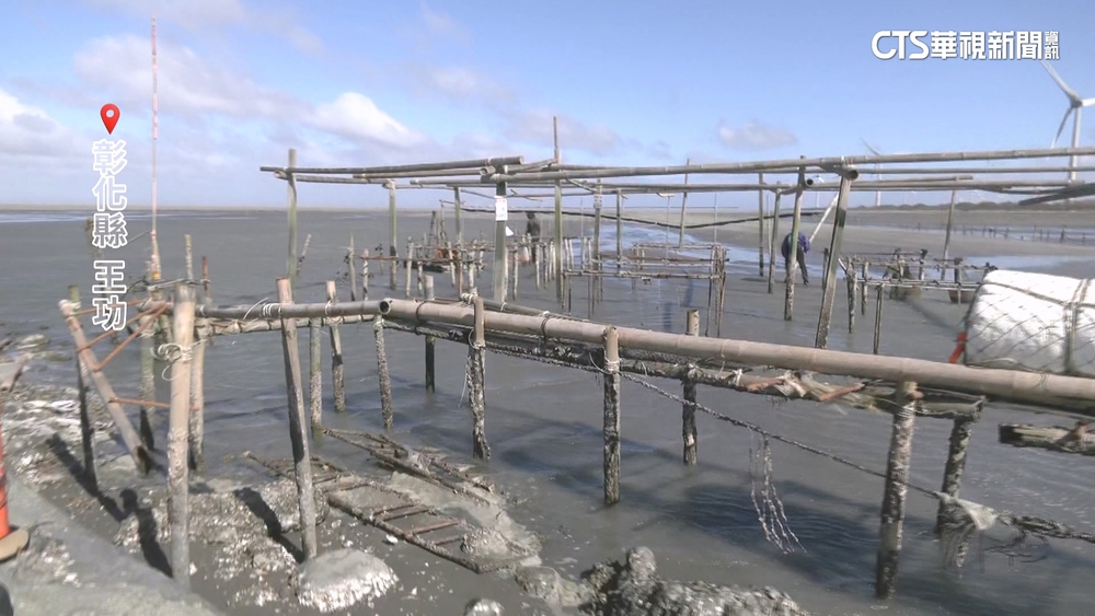 彰化海邊颳9級強風　蚵農趁陽光露面搶修棚架