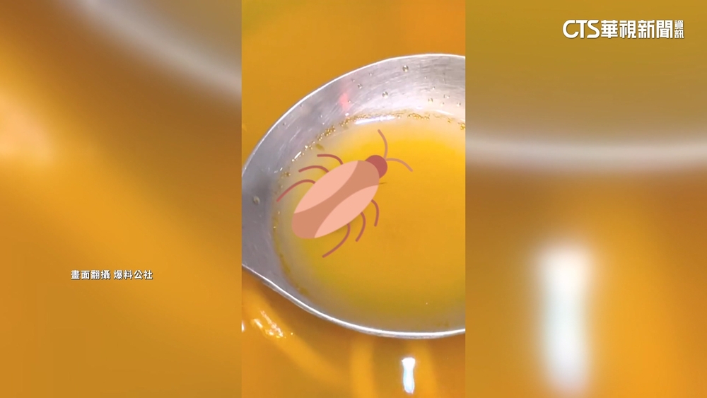 客控訴米線有小強「硬拗是蔥」　越式餐廳：環境整潔