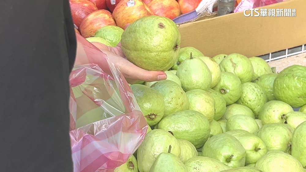 風災毀產量！　帝王芭樂每公斤百元　貴到快買不下去