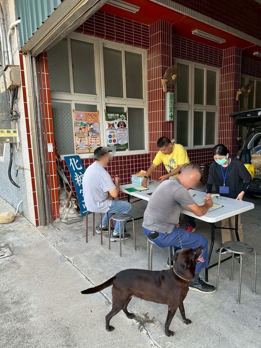 通霄出現首例鼬獾狂犬病案例　1犬隻接觸送檢「確認陰性」