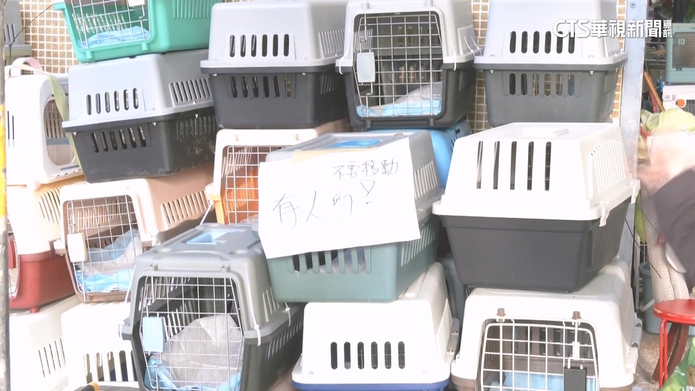 宏福苑惡火！愛寵受困失蹤　飼主急至登記處詢問