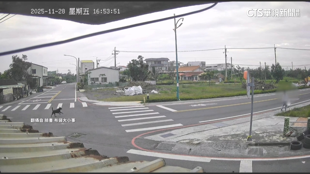 出門倒垃圾遇黑狗狂追　10歲童驚嚇狂奔逃命