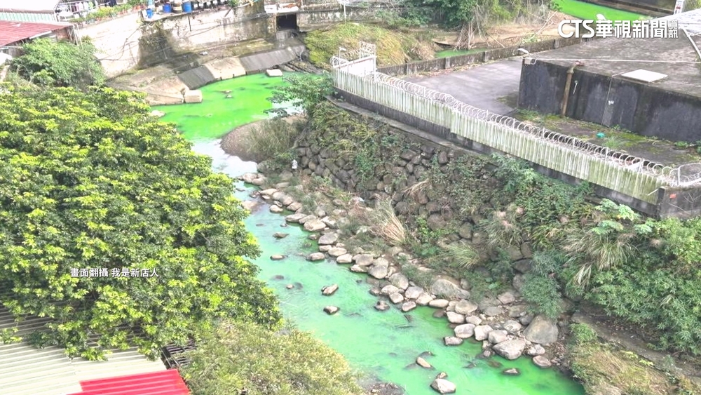新店五重溪遭染綠！　居民目擊憂心　污染源追查中
