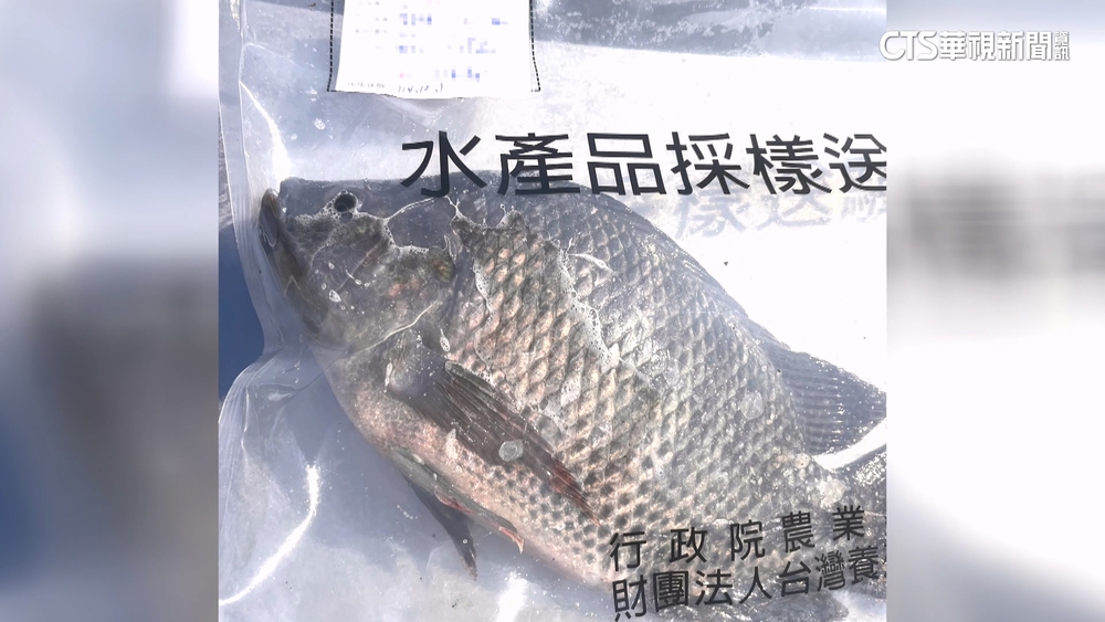 鯛魚排藥檢超標「逆轉」？廠商：未檢出　高市府：不同檢體