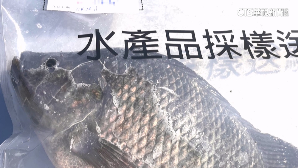 鯛魚排含禁藥　雲林口湖供應商「同一魚池」自驗未檢出