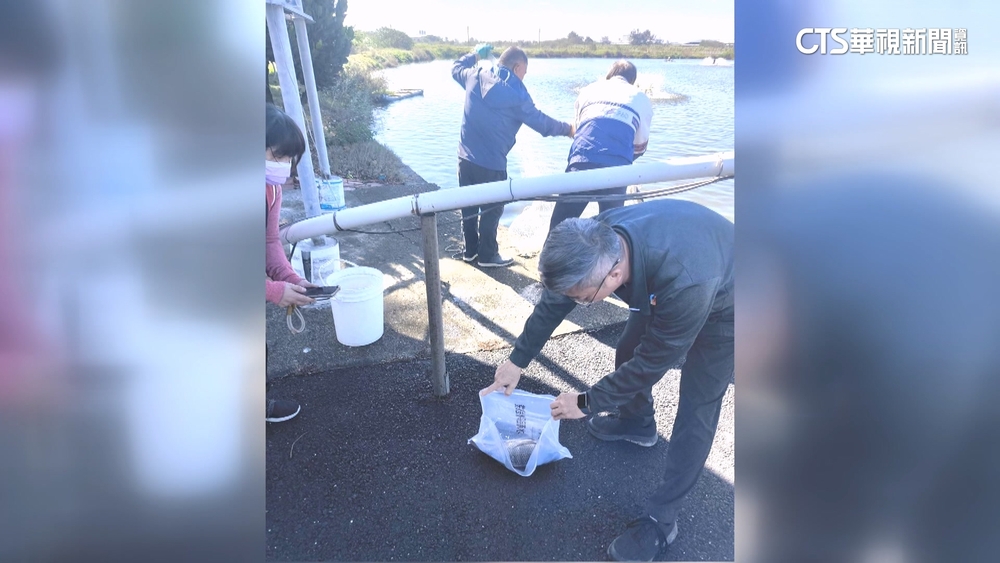 鯛魚排禁藥烏龍！女研究員認疏失　陳其邁：究責
