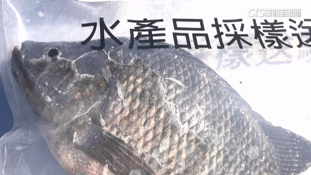 鯛魚排抽驗出大包！　高雄衛生局7人懲處.赴雲林和業者道歉
