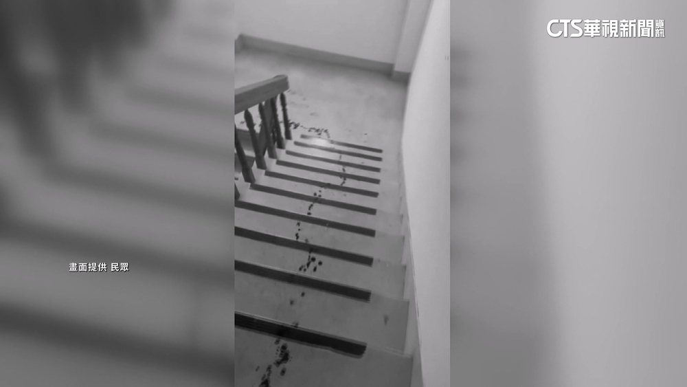 討4萬5債務！台中街頭濺血　民眾：警要求勿亂傳影片