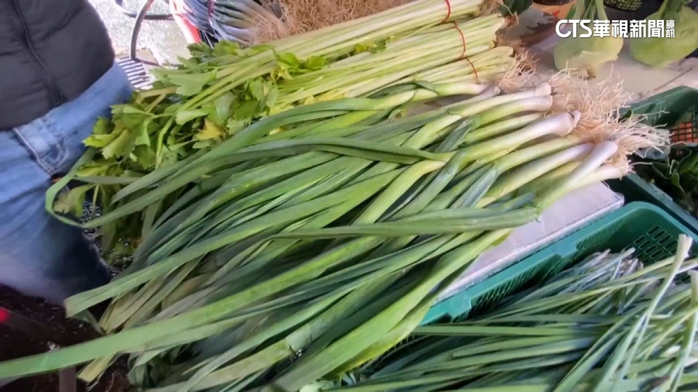 坑殺消費者？　彰化同個菜市場青蒜價格差3倍
