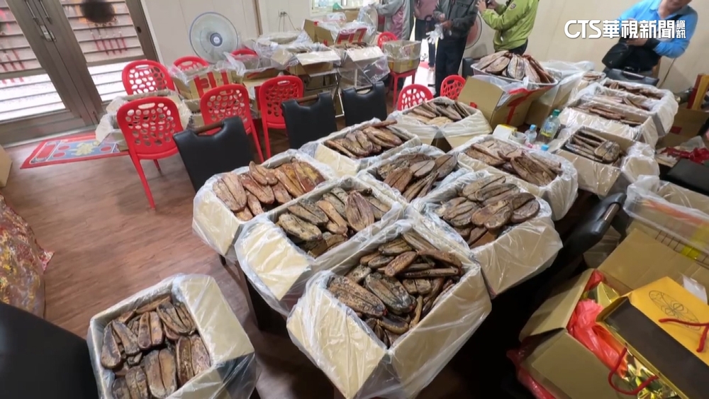 溫王爺千歲聖誕580斤烏魚子免費吃　東隆宮廟埕開攤