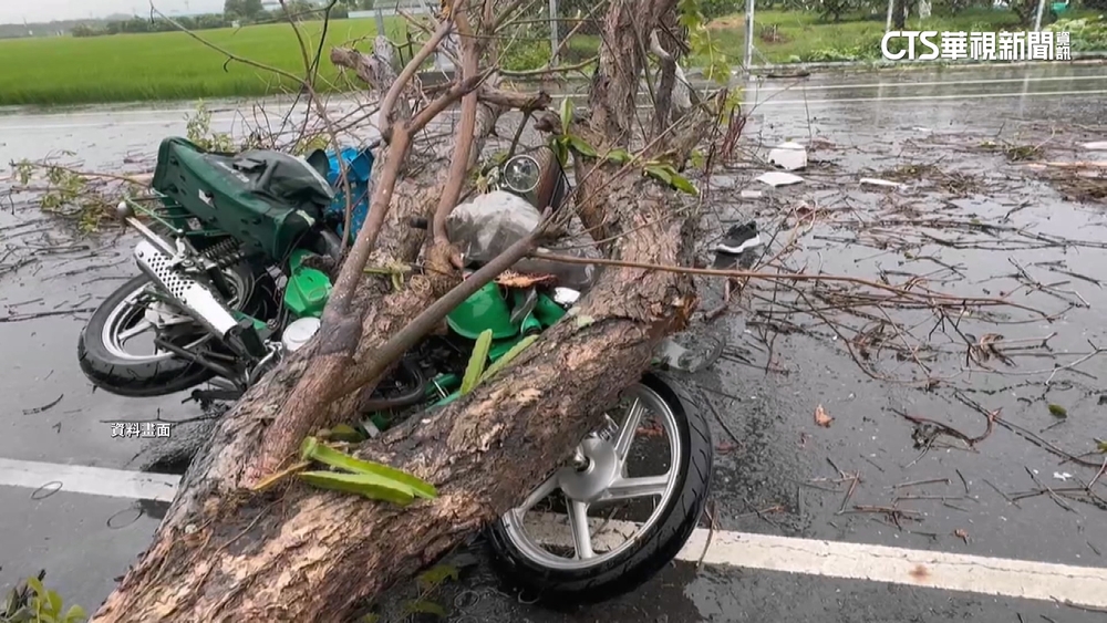 路樹壓死郵差！　公路局拒國賠辯「下雨出勤有過失」