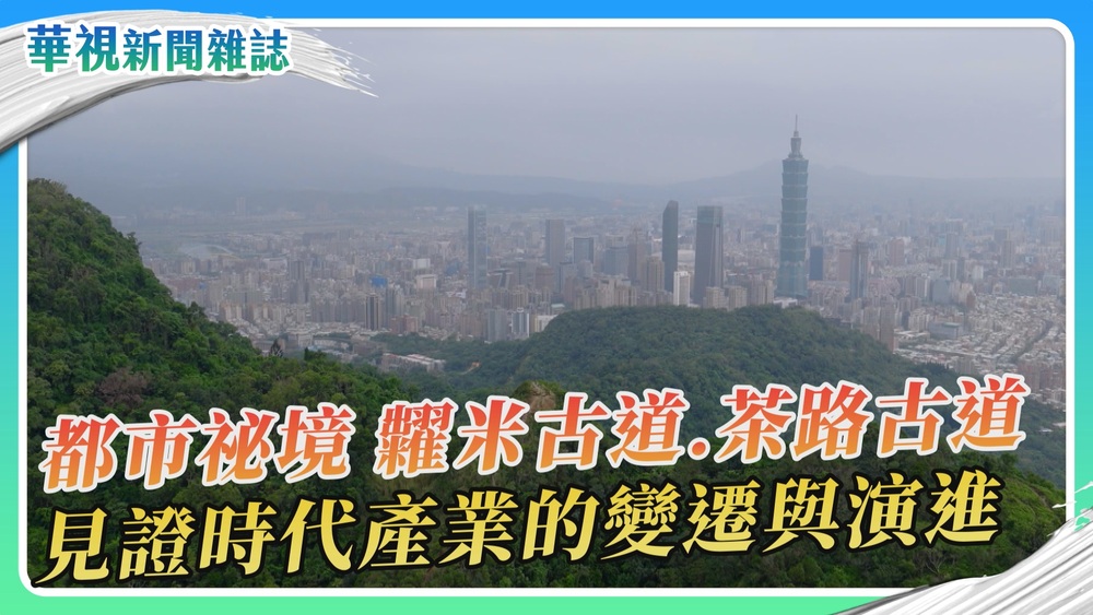 台北古道行～糶米古道&茶路古道｜華視新聞雜誌
