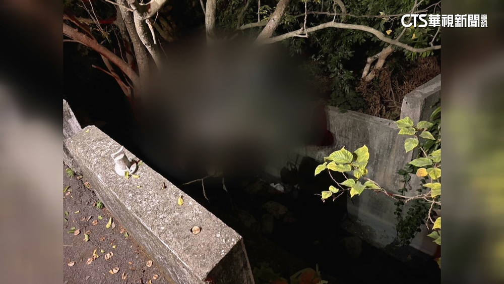 疑路燈昏暗護欄太低　女自撞拋飛掛樹身亡