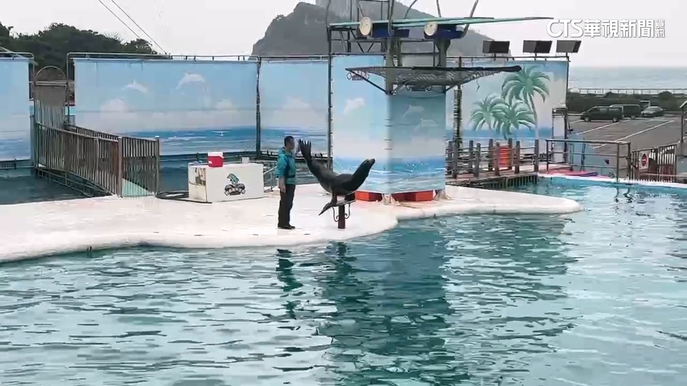 野柳海洋世界爆「囚禁」　海獅.海豹住處不如豬圈