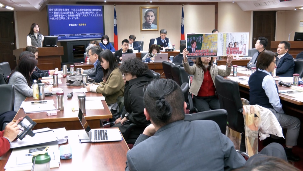 林淑芬嗆「陳九條」問僅有9條保障夠嗎？　陳昭姿舉牌回應「正副總統都支持代孕」