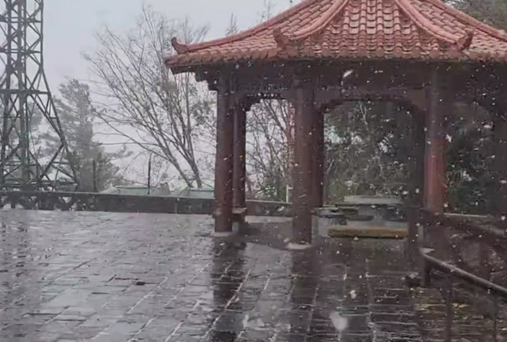 睽違8年　阿里山今日上午短暫飄雪